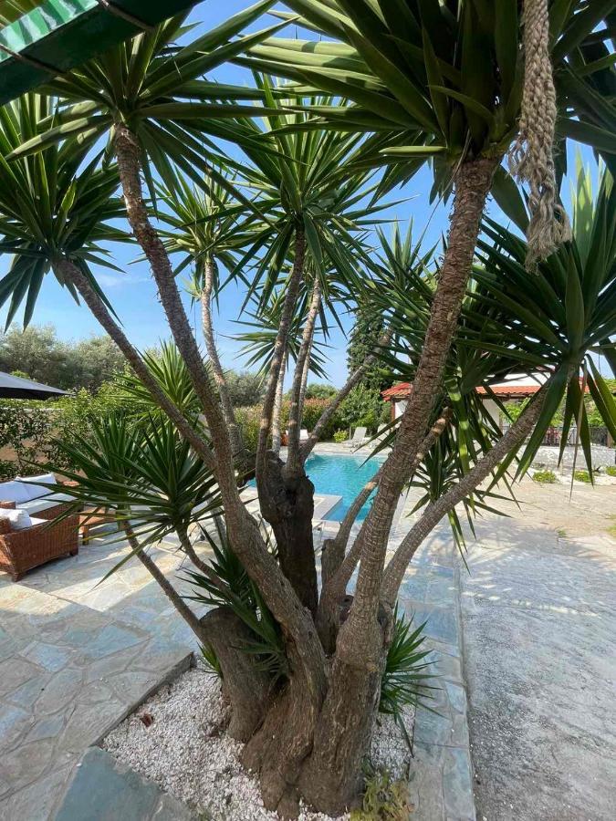 Vila Kalimera Private Pool Nea Poteidaia Dış mekan fotoğraf